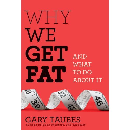 Why We Get Fat