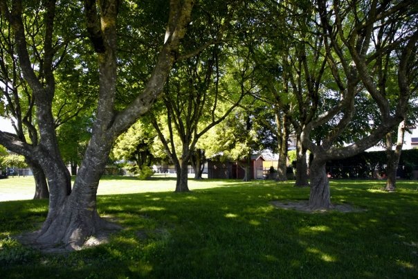 3594286358_4684a87856_o