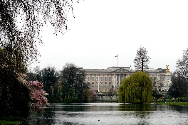 432462263_2e1ce67db2_z-1