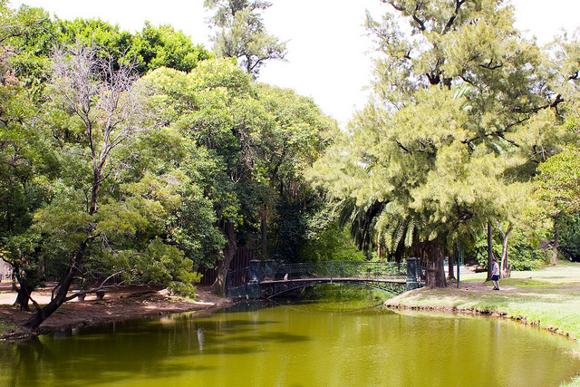 5357138713_67507db0a9_z