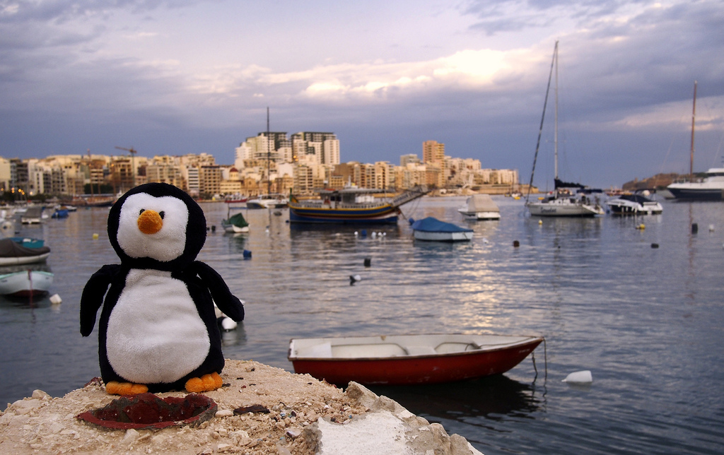 Waddles in Malta